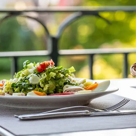 Hotel Schoengarten Garni Lindau (Bodensee)