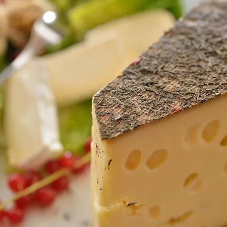 Hotel Schoengarten Garni